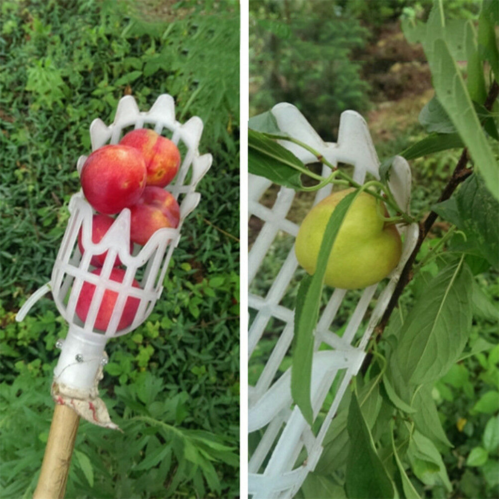 1 Set Cesto Raccogli Frutta (asta Non Inclusa) Cuscino - Temu Italy