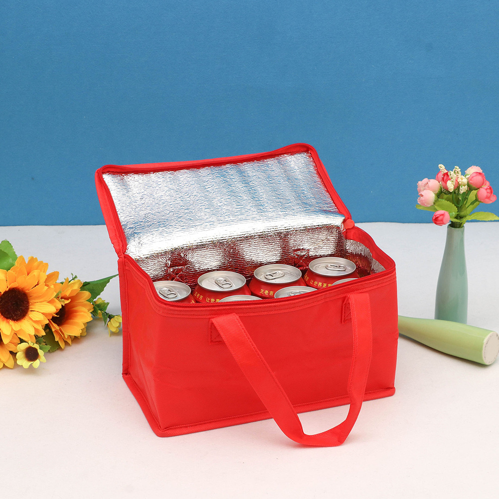 Insulated Cooler Bag for Drinks & Lunch, Portable & Durable