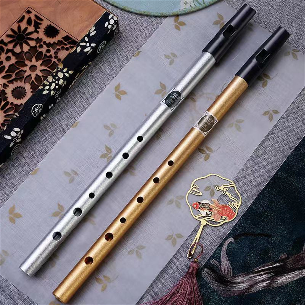 6 hole Irish Tin Penny Whistle Perfect Beginner Musicians! Temu