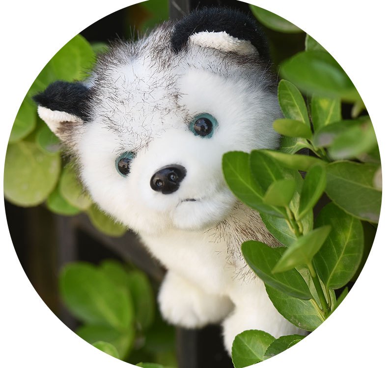 Lifelike Cute Husky Dog Plush Toys Soft Stuffed - Temu