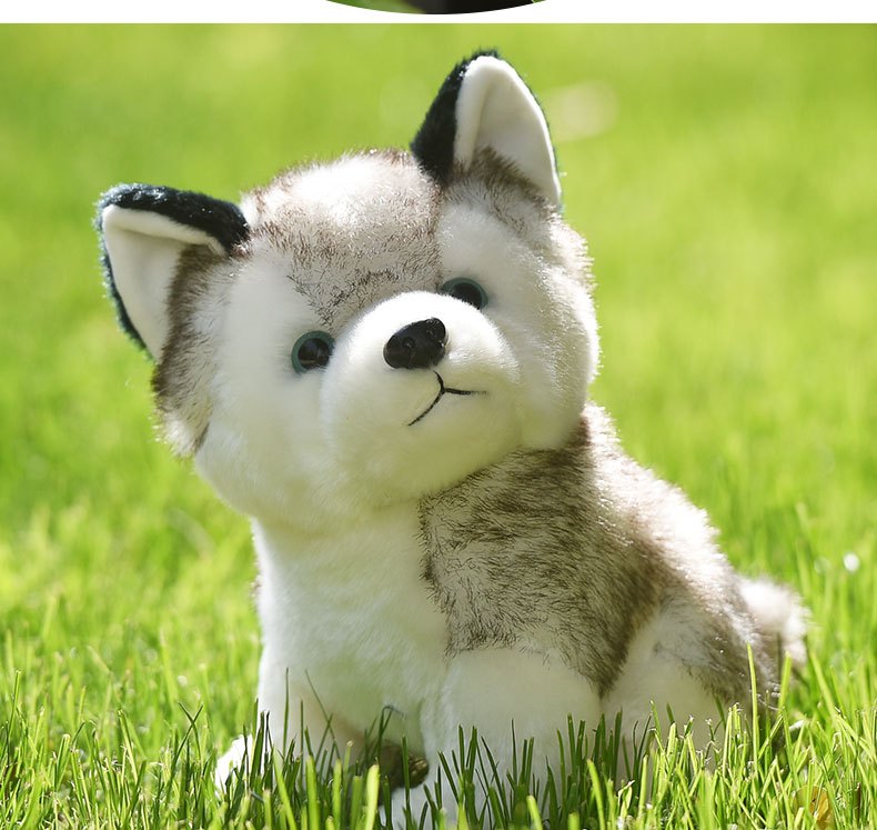 Lifelike Cute Husky Dog Plush Toys Soft Stuffed - Temu