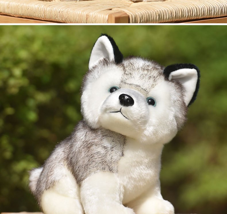 Lifelike Cute Husky Dog Plush Toys Soft Stuffed - Temu