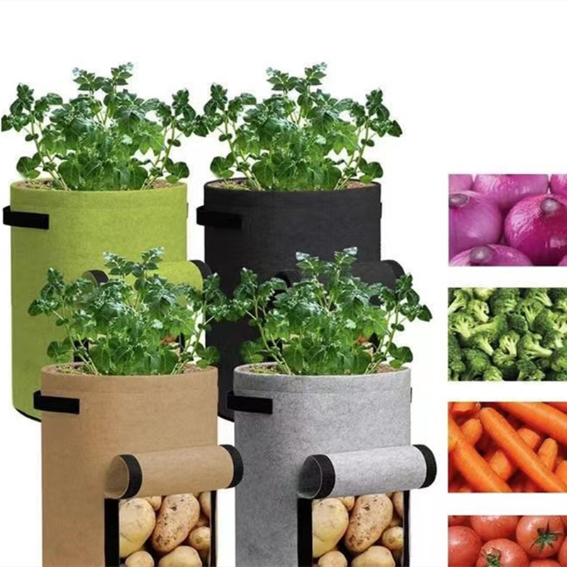 ZOYIDOUX Potato Grow Bags 3PACK Grow Bags 10 Gallon India  Ubuy