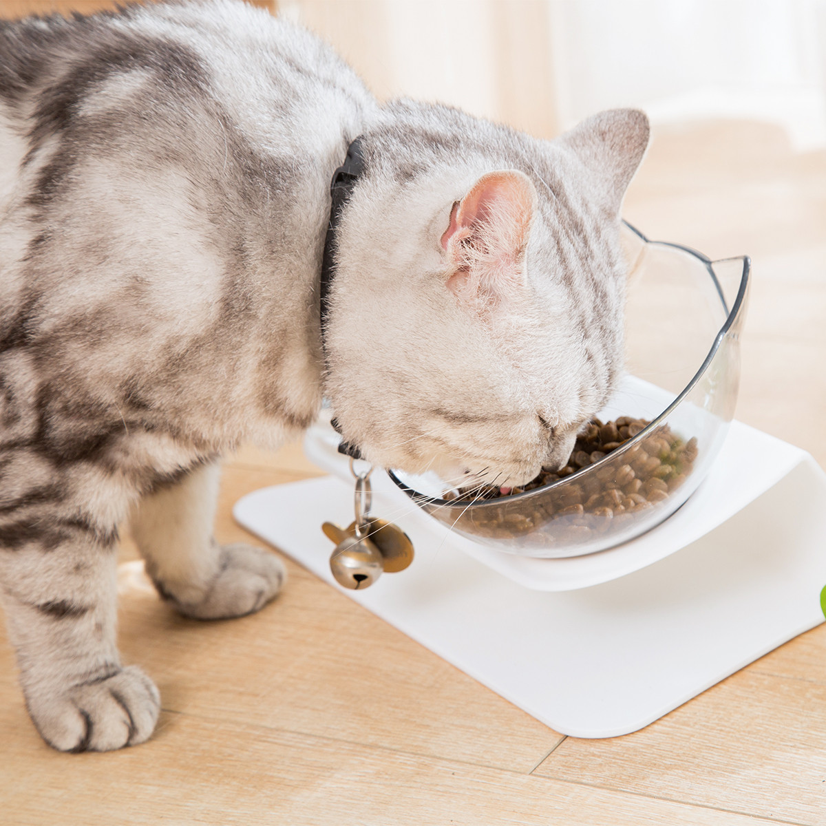 Elevated Cat Food Bowls Prevents Neck Strain and Improves Digestion