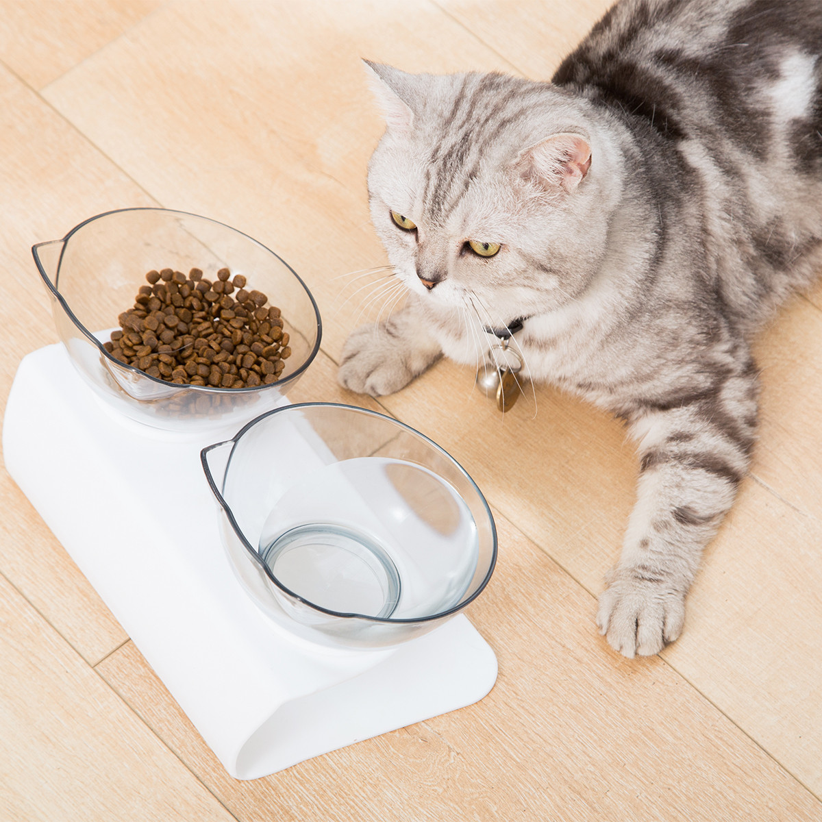 Elevated Cat Food Bowls Prevents Neck Strain and Improves Digestion