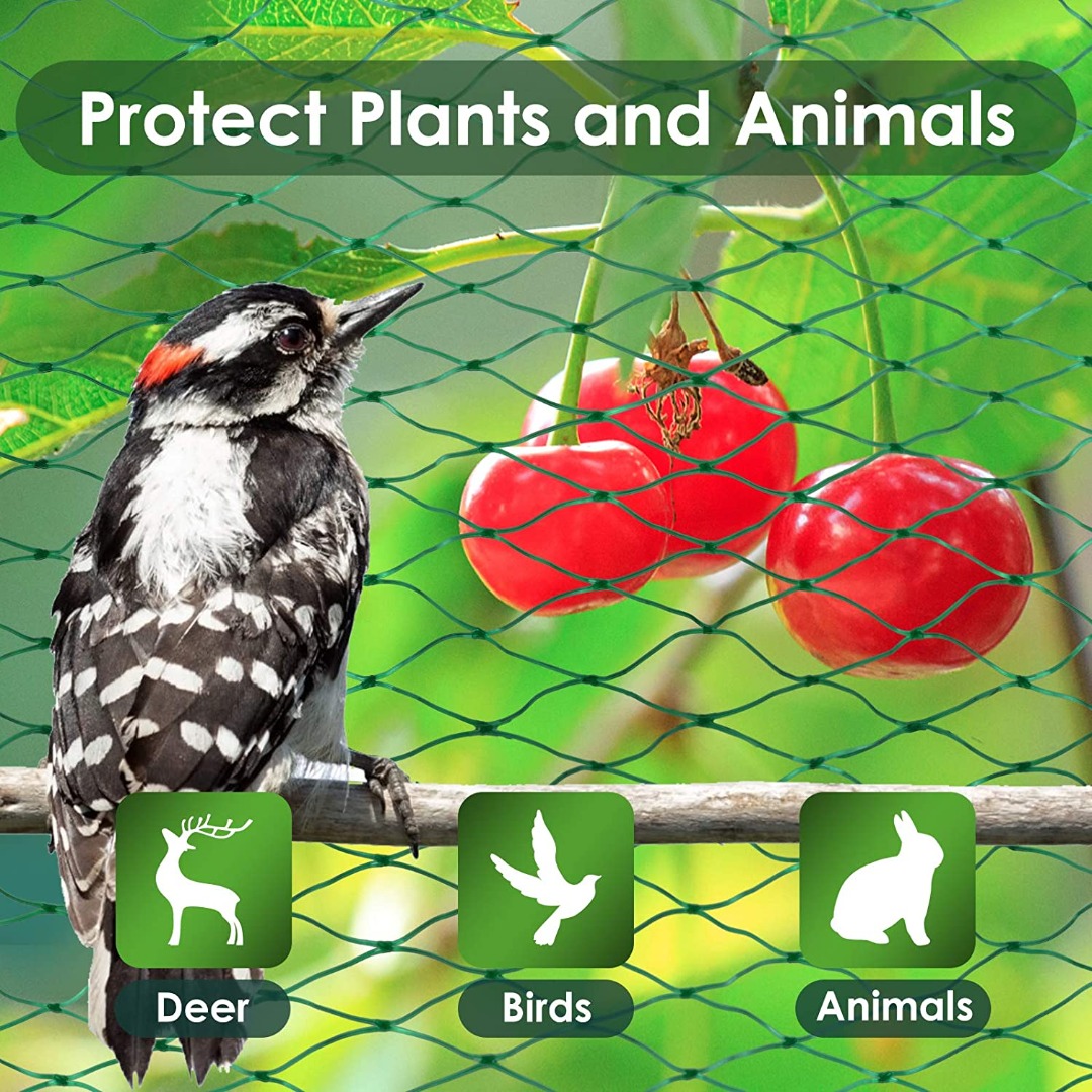 Filet anti-oiseaux de 10 verges pour le jardin Protéger les plantes  potagères et les arbres fruitiers, filet de treillis en plastique pour les  oiseaux