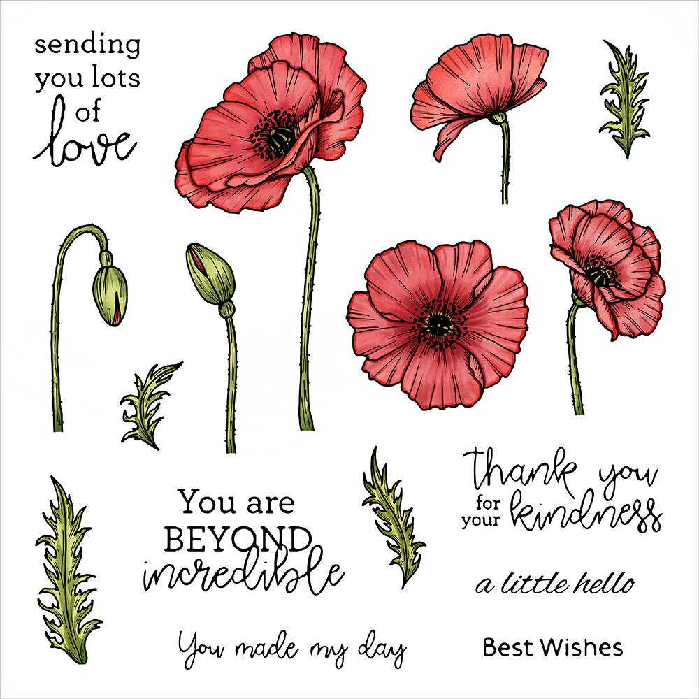 Watercolor illustration of poppy flowers. Perfect for greeting