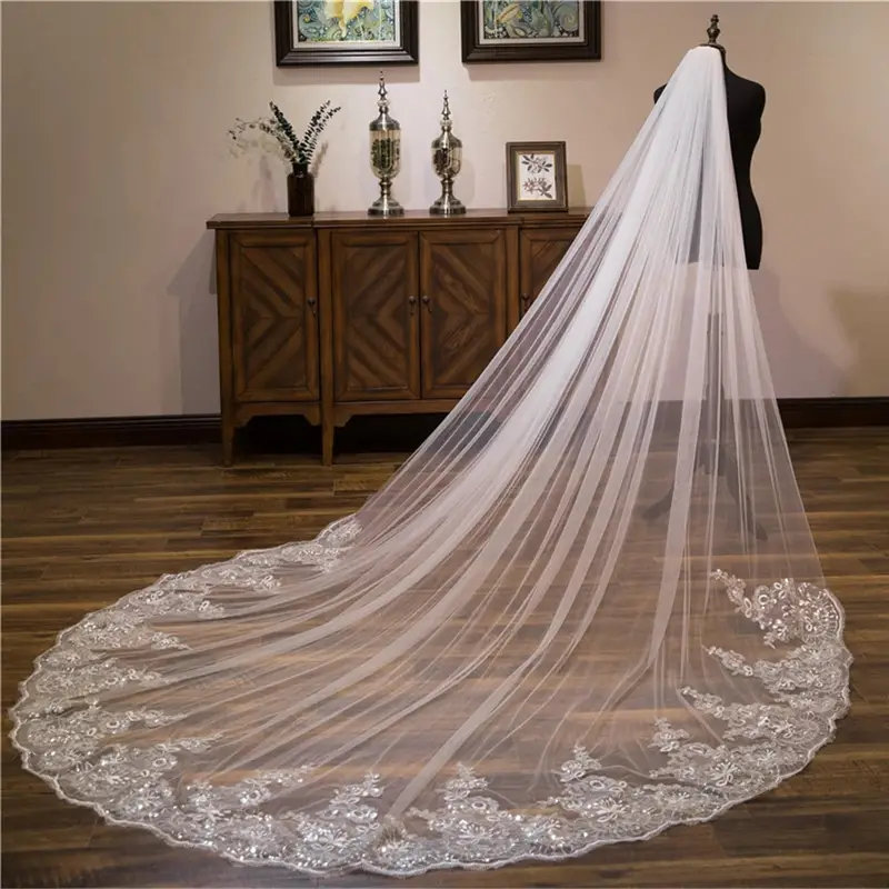 Lace Applique Edge Wedding Veil One Layer Cathedral Length Lace