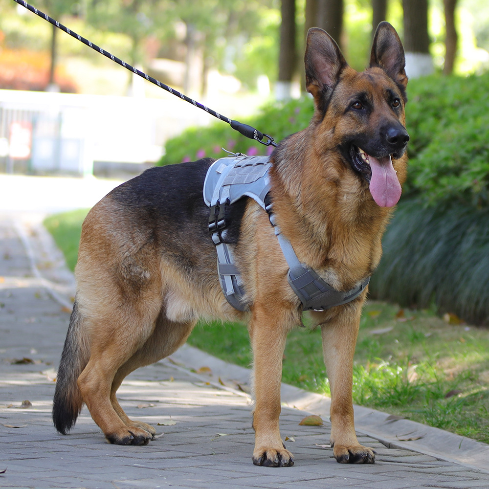 Taktisches Hundegeschirr Für Kleine Mittelgroße Hunde, Militär