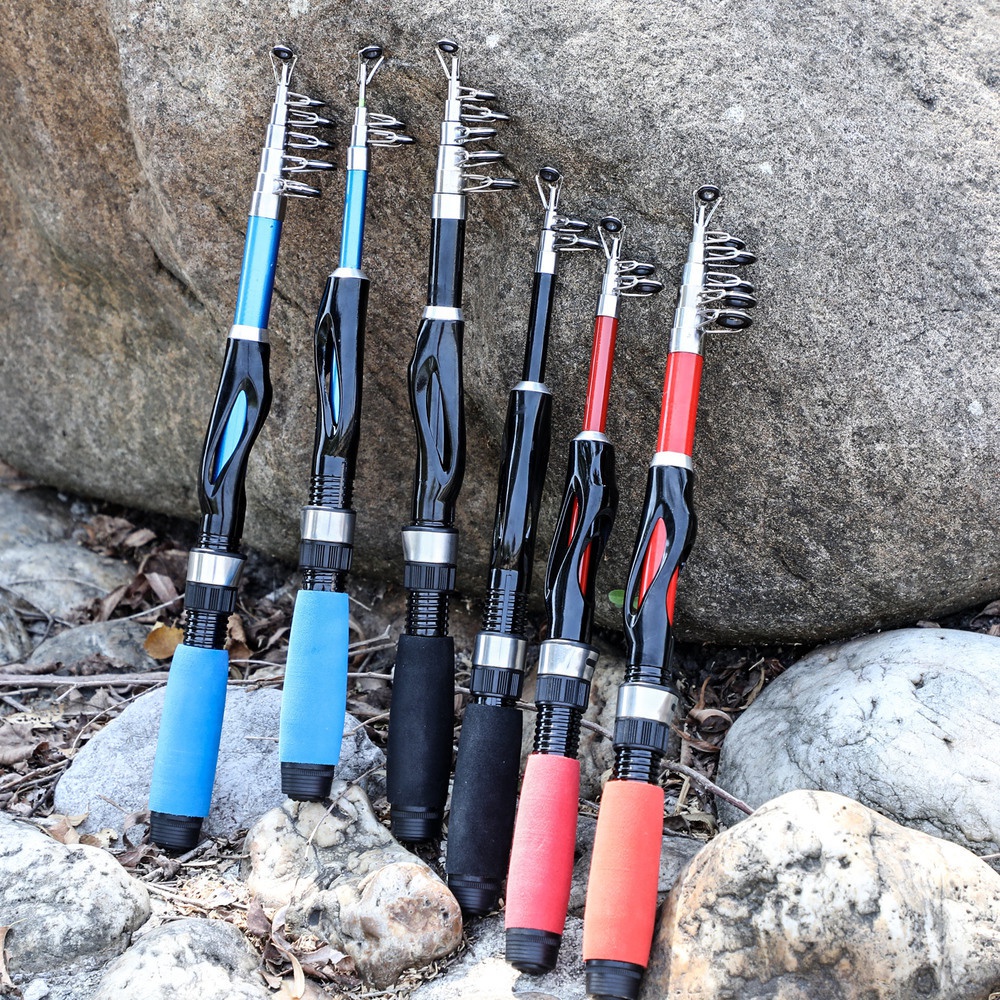 Compact Portable Fishing Rods Perfect Travel Carp Bass - Temu