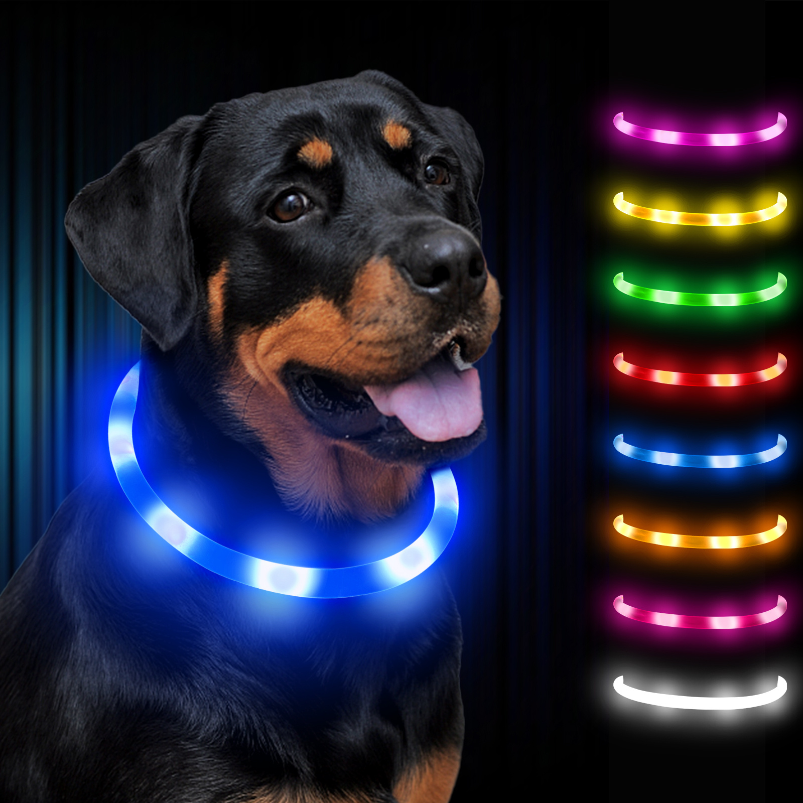 Collar LED para perro, collares ajustables con luz que brillan en la  oscuridad, collar de seguridad recargable por USB, luz para tus perros  caminando