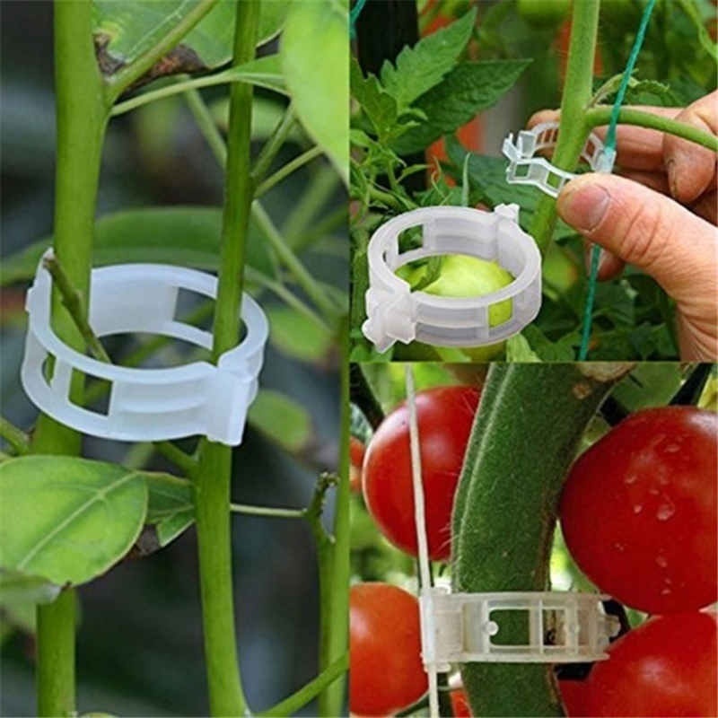Garden Tomato Plant Support Clips Keep Your Plants Upright Temu
