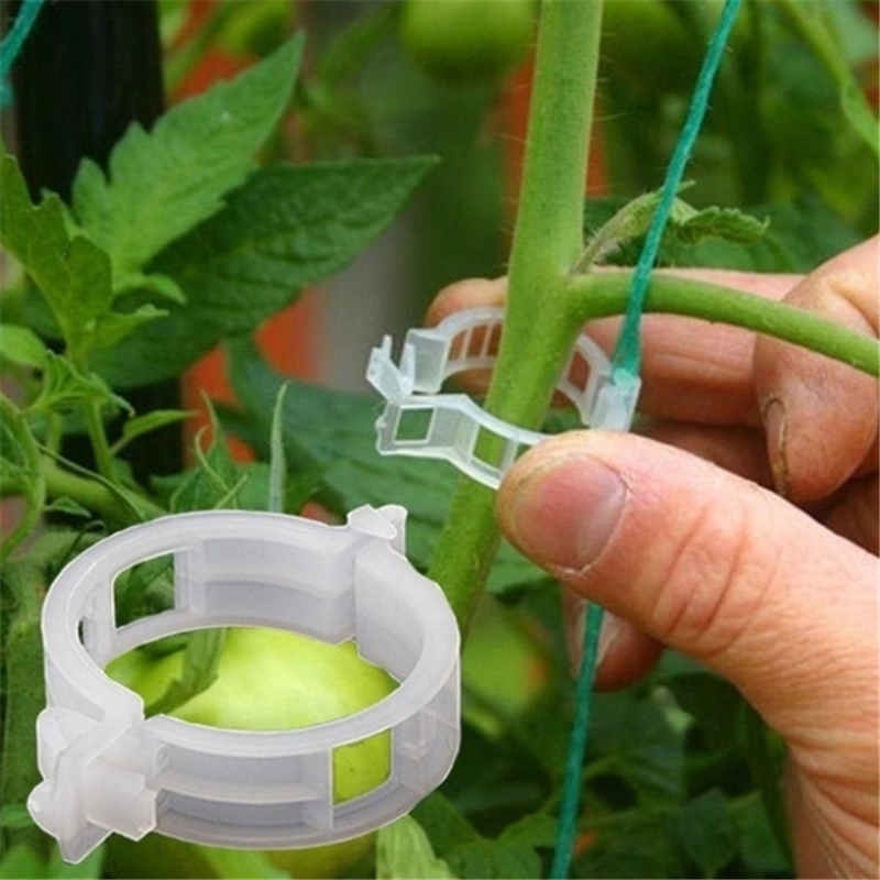 Garden Tomato Plant Support Clips Keep Your Plants Upright Temu