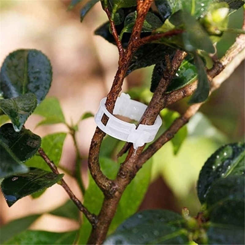 Garden Tomato Plant Support Clips Keep Your Plants Upright Temu