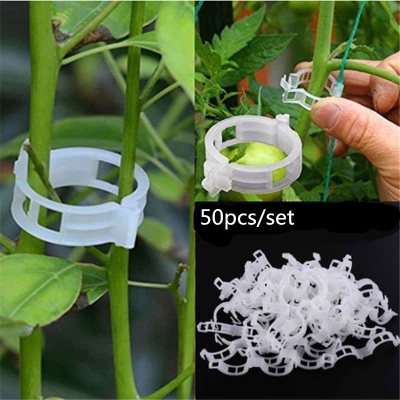 Garden Tomato Plant Support Clips Keep Your Plants Upright - Temu