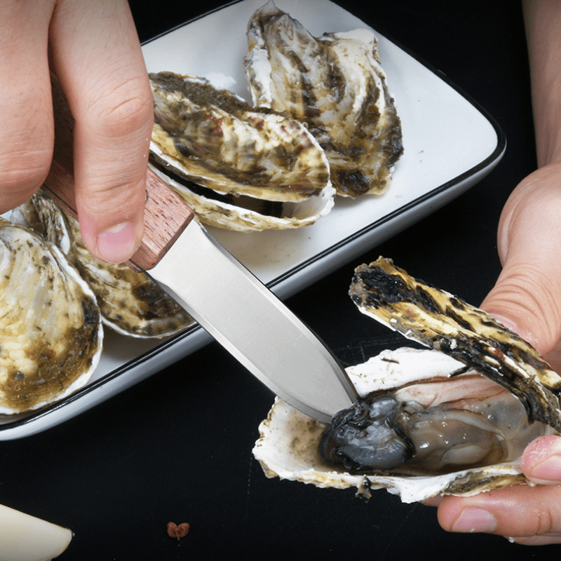  Oyster Shucker Tool Set, Stainless Steel Oyster Clam