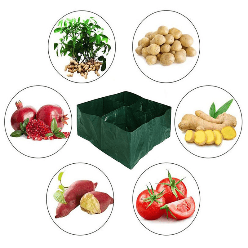 Grow Your Own Fruits And Veggies With Nonwoven - Temu