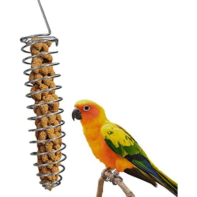 IKayas Mangeoire à oiseaux avec ventouses puissantes pour petits oiseaux et  10 points adhésifs amovibles : : Animalerie