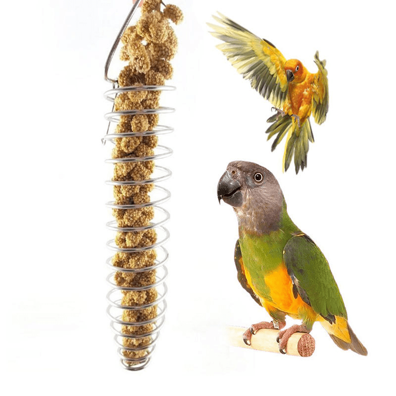 Mangeoire à roue rotative pour petit oiseau, jouet pour tuer les  perroquets, pour la recherche de nourriture, boîte en acrylique,  porte-nourriture K0AA