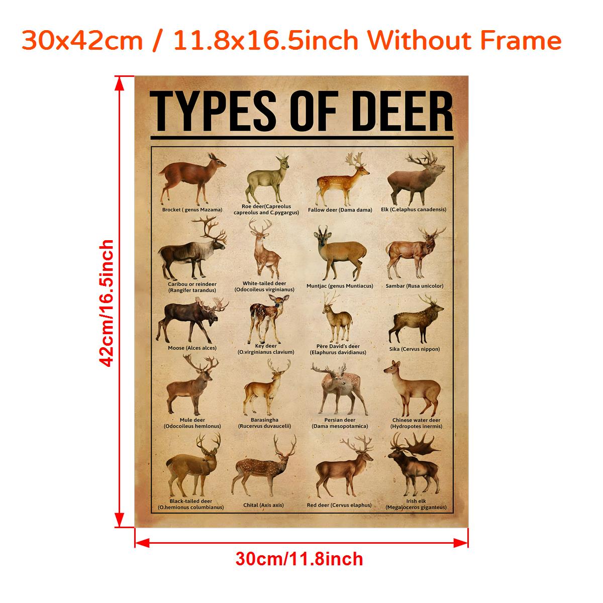 Reindeer Knowledge Canvas Poster - Home Decor
