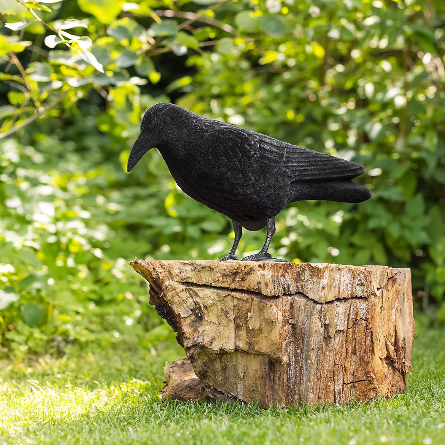Simulation Corbeau Noir Corbeau Oiseau Répulsif Pigeon Répulsif Décoration  De Jardin Extérieur - Temu France
