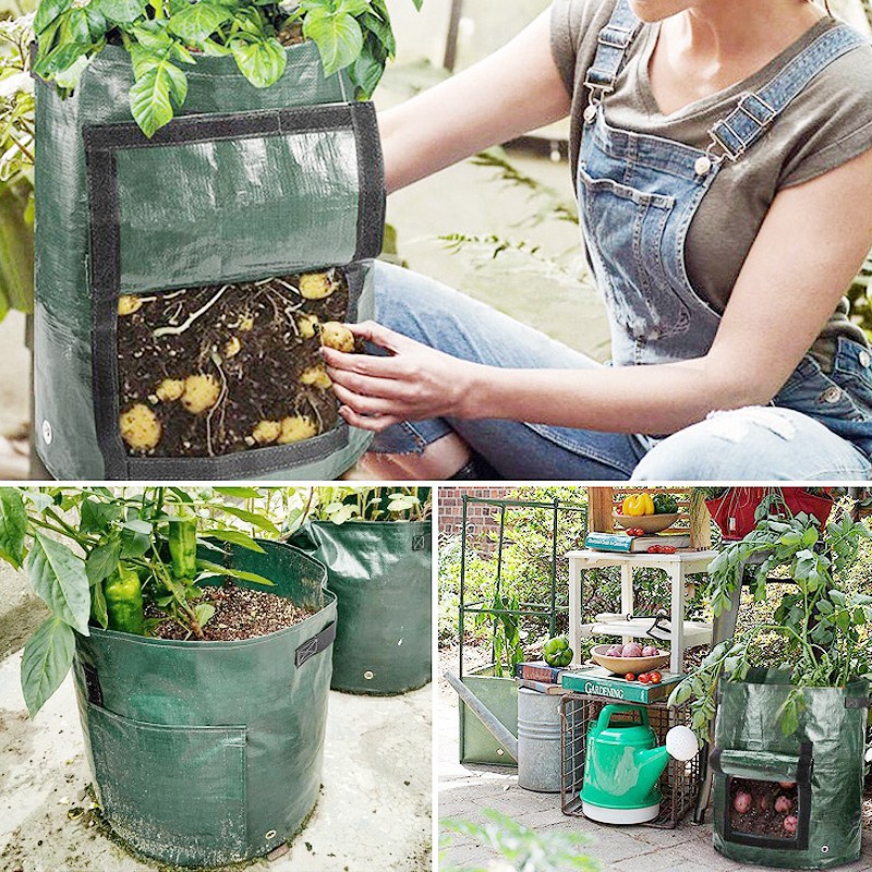 Potato Grow Bag Pe Vegetable Grow Bags With Handle Thickened