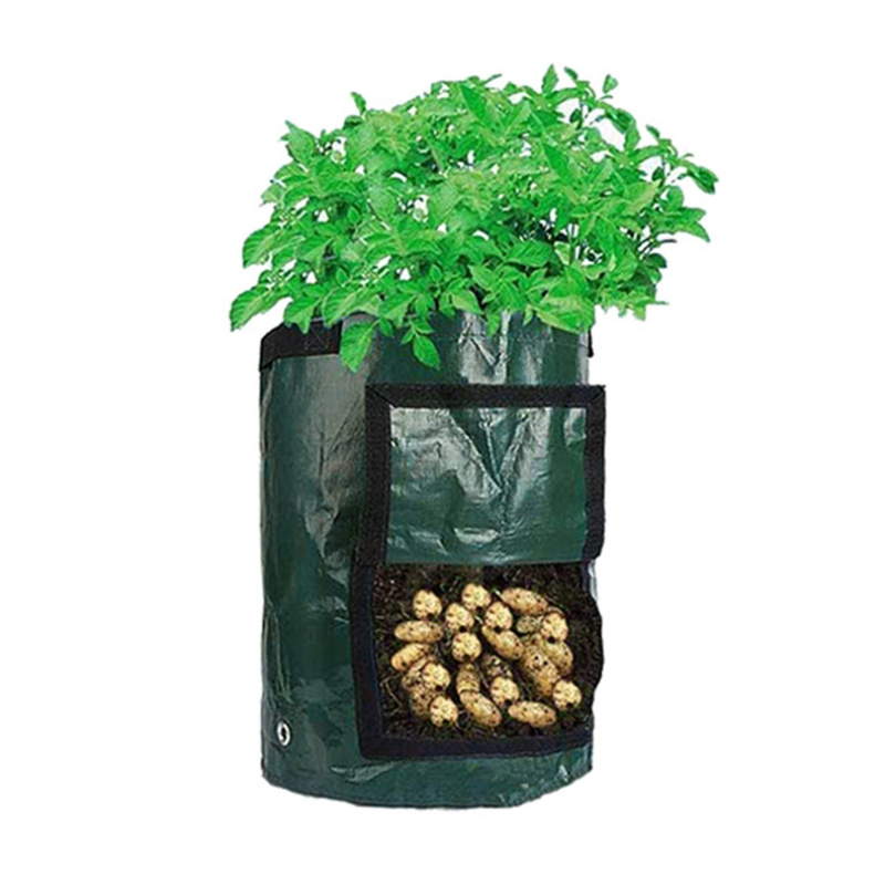 Potato Grow Bag Pe Vegetable Grow Bags With Handle Thickened Growing Bag  Vegetable Onion Plant Bag Outdoor Garden Pots - Temu United Arab Emirates