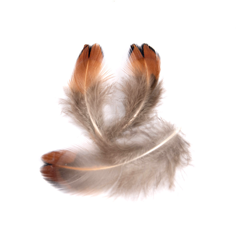 40pcs Natural Pheasant Feathers, Spotted Feathers, Turkey Feathers, 4  Styles 