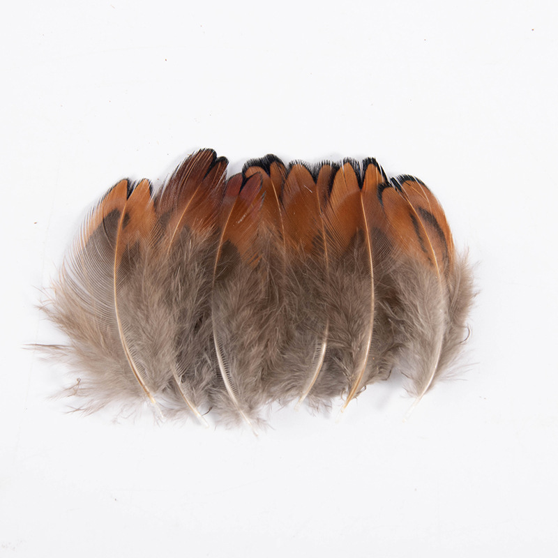 Mixed Natural Pheasant Craft Feathers Feathers For Dream - Temu