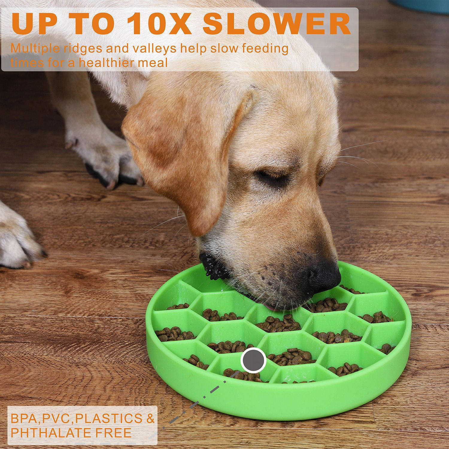 11 Best Slow Feeder Dog Bowls