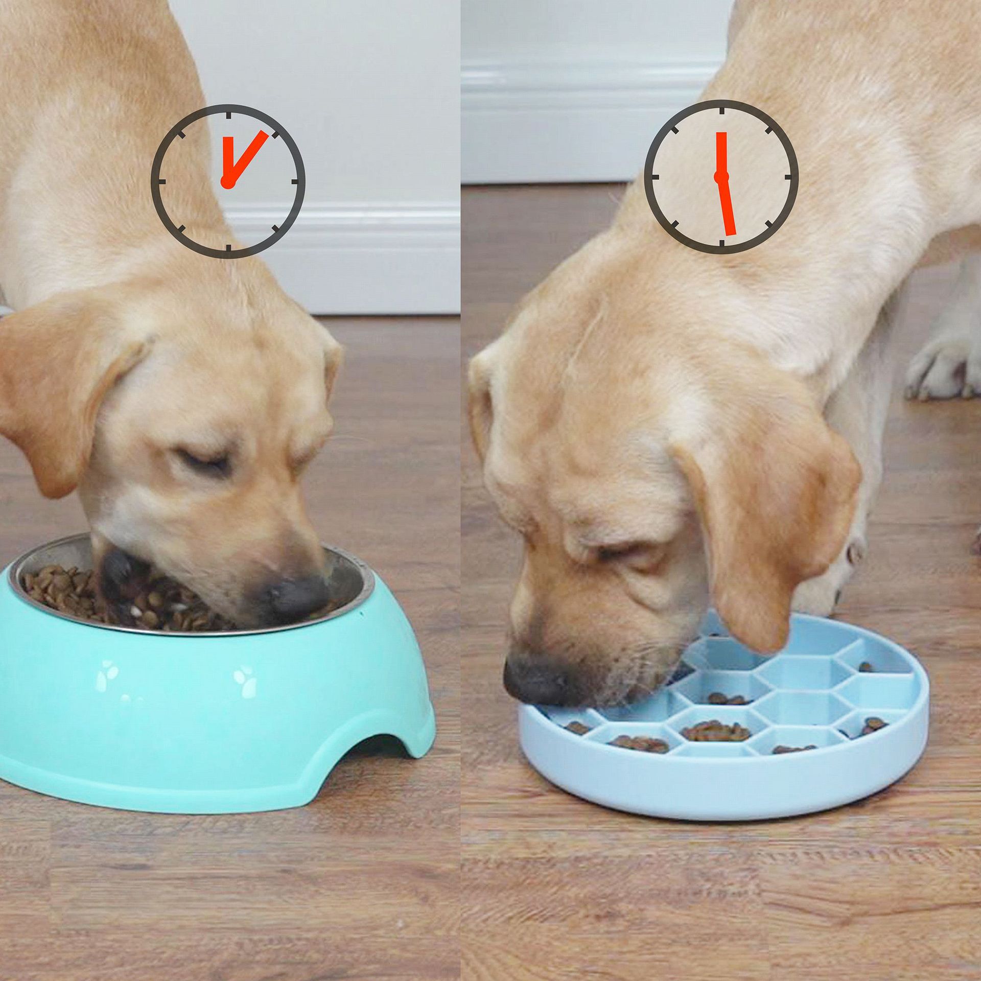 Fun And Healthy Silicone Slow Feeder Dog Bowl Promotes Temu