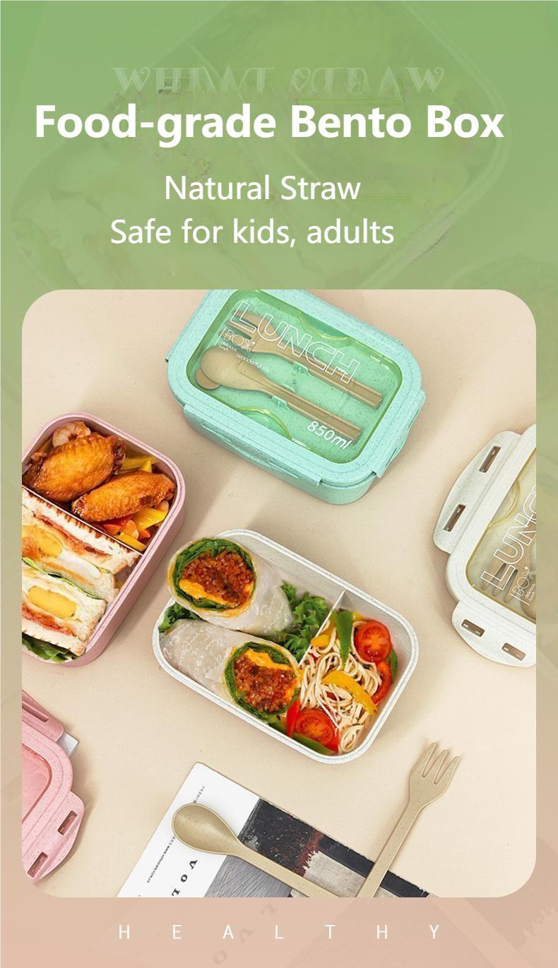 Wheat Straw Kids Bento Lunch Box 850ml 2 Compartment Lunch