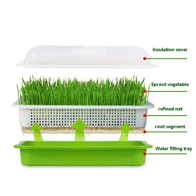 Seed Sprouter Tray Lid Germination Kits