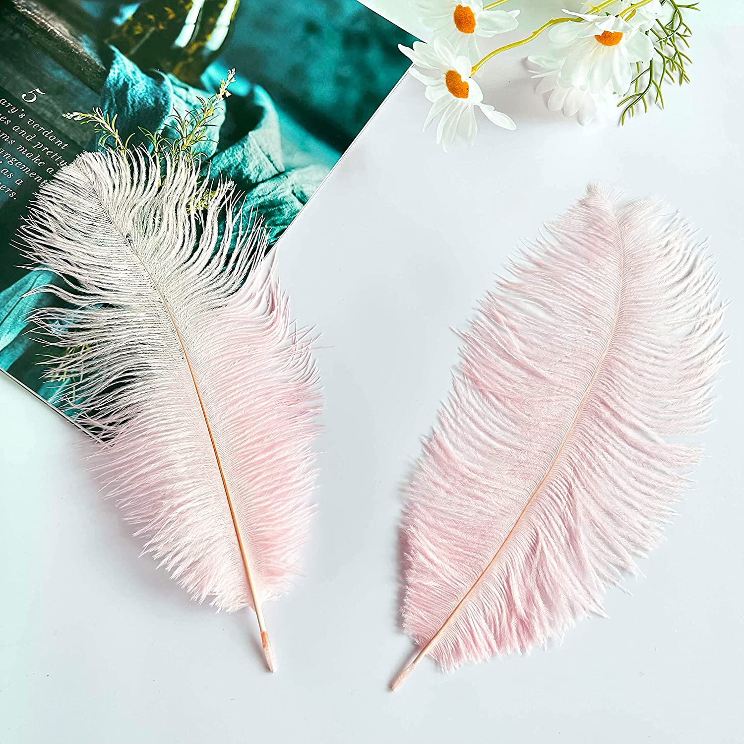 100 Pcs Natural Ostrich Feathers 8-10 Inch/ 20-25 cm Plumes Feathers for  Crafts White Black Ostrich Feathers Bulk for DIY Home Decoration Christmas