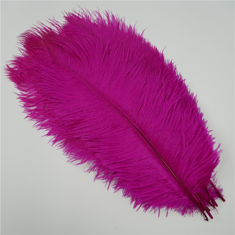 10Pcs Ostrich Feather Multi-Color Ostrich Feather Plume Decorative Pink  Gold Purple Feather Craft Fashion DIY Large Feather Party Centerpieces for  Home Wedding Party Decoration 