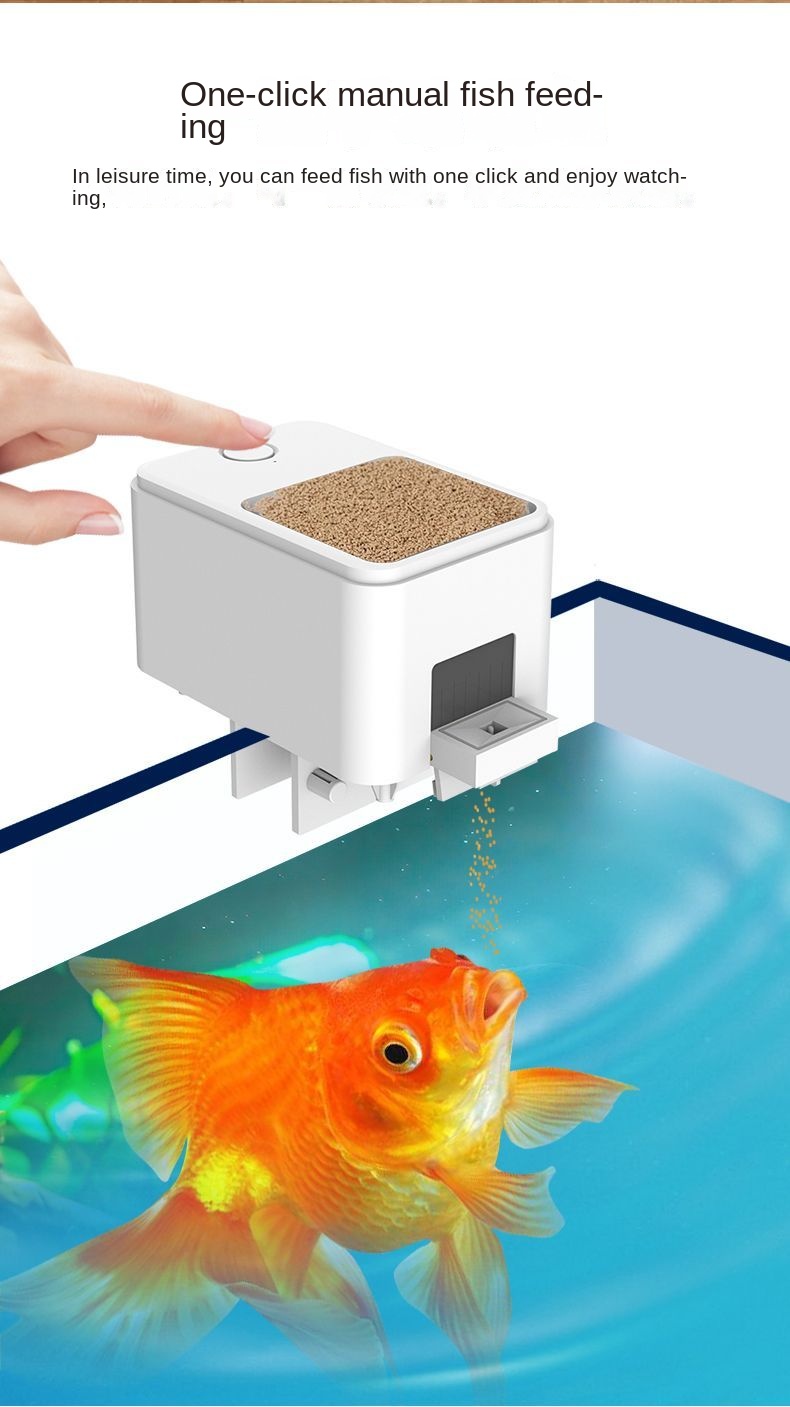 Fish tank outlet feeder