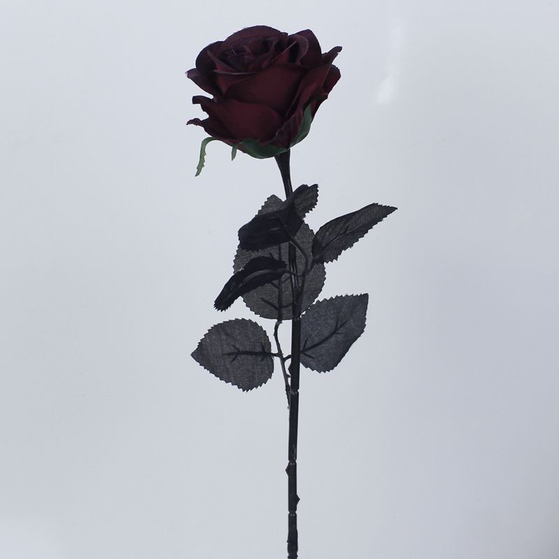 single black rose wallpaper