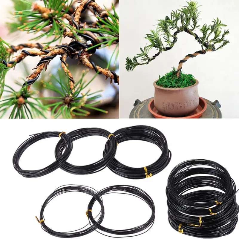 1pc Plant Shape Bonsai Training Wire, Black Bonsai Wire, Gardening Tools  Wire Anodized Aluminum 16.4ft