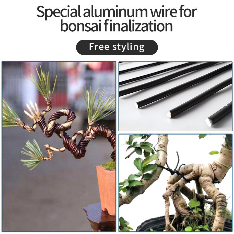 5 rollos de alambre de entrenamiento de bonsái de aluminio, 160 pies en  total con cortador de alambre de bonsái, alambre anodizado de 1/1.5/0.079  in, alambre de entrenamiento para sostener ramas de : Patio, Césped y  Jardín 