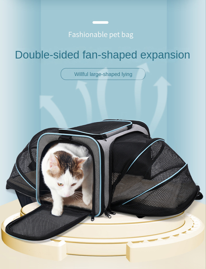 Dropship Airline Approved Folding Zippered Casual Pet Carrier to