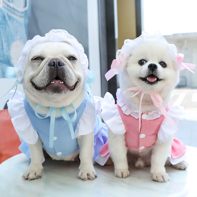 Halloween Pet Costume Funny Pumpkin Dog Cosplay Clothes Autumn Winter Pet  Clothes For Dogs And Cats Festival Party Dress Up Apparel - Temu Australia