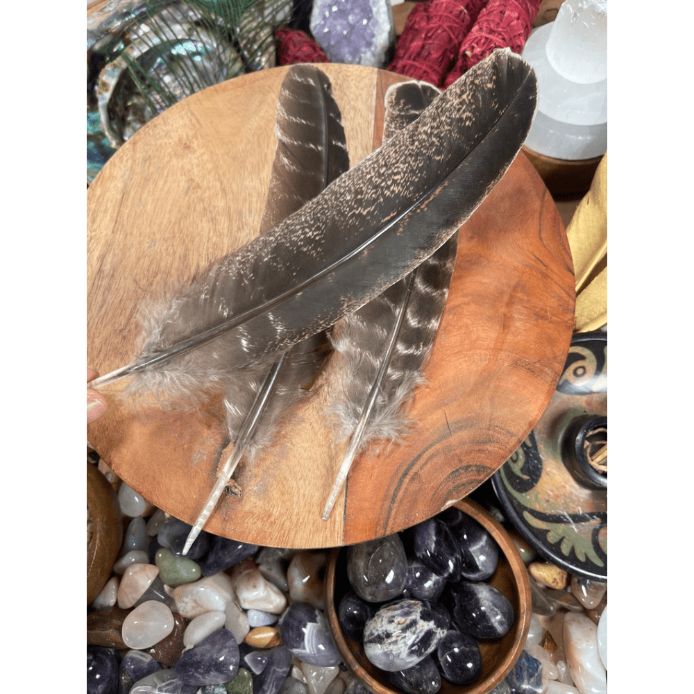 20pcs Natural Turkey Feathers Bulk 10-12 inch Wild Turkey Feather for DIY  Crafts Project Collection Wedding Decoration Erikord