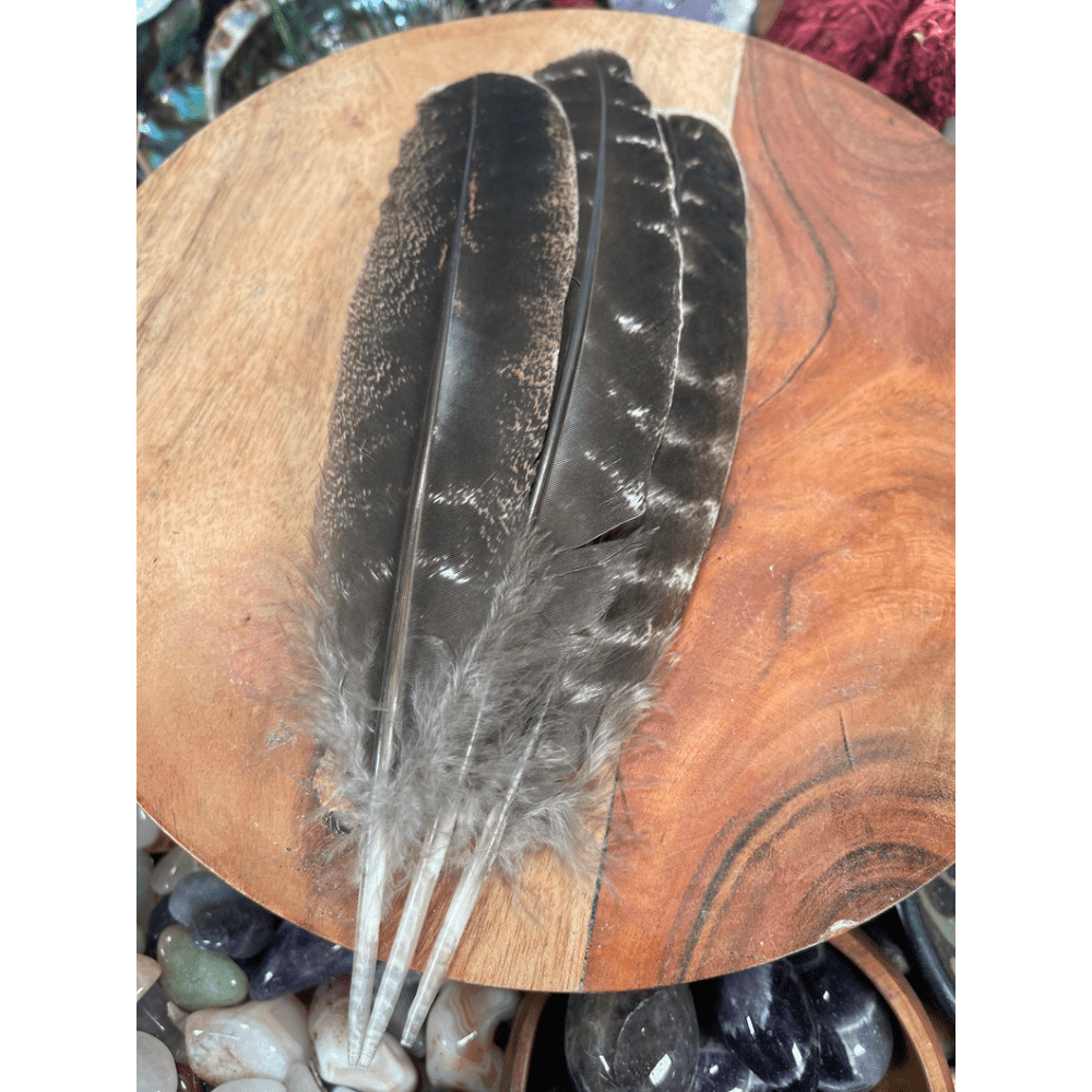 Bulk Guinea Wing Feathers Natural Feathers For Diy Wedding - Temu