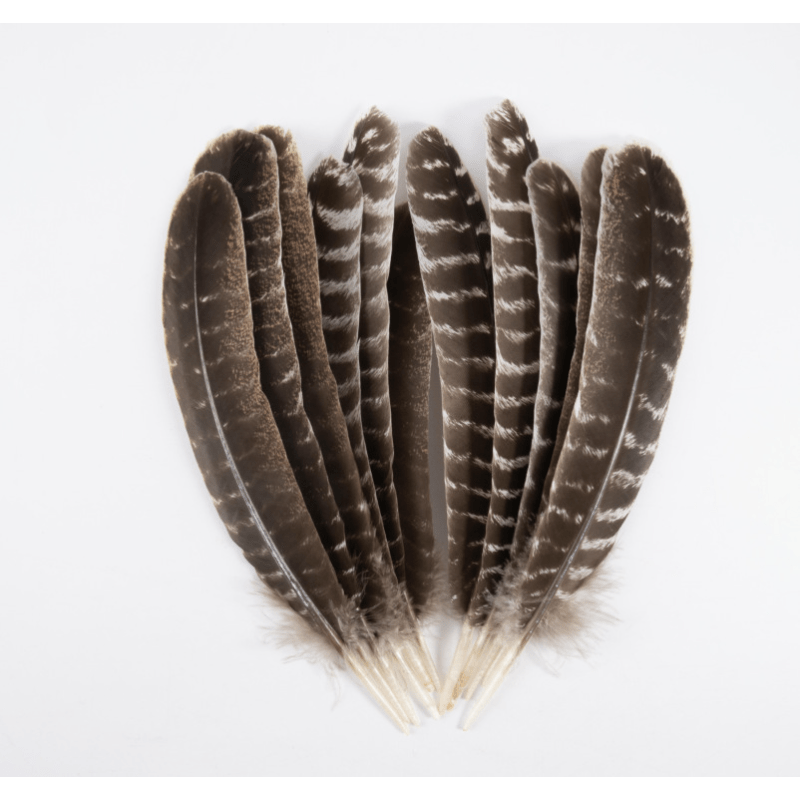 Craft Feathers Bulk Natural Feathers For Wedding Home dream - Temu