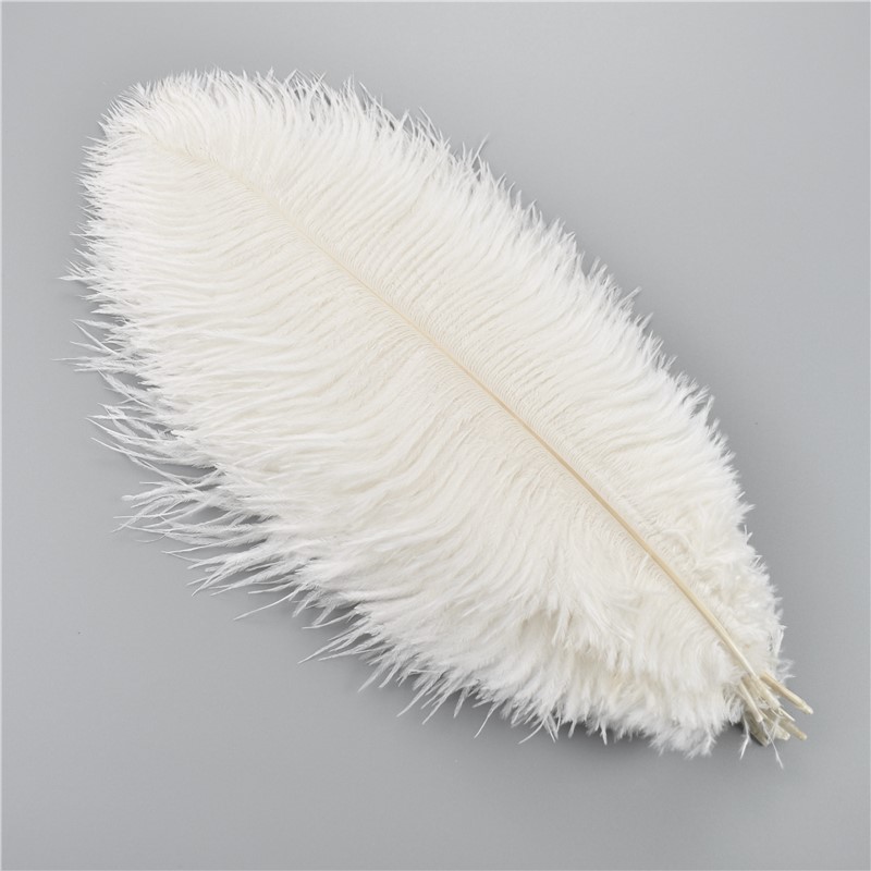 White Ostrich Feathers, 10/pkg