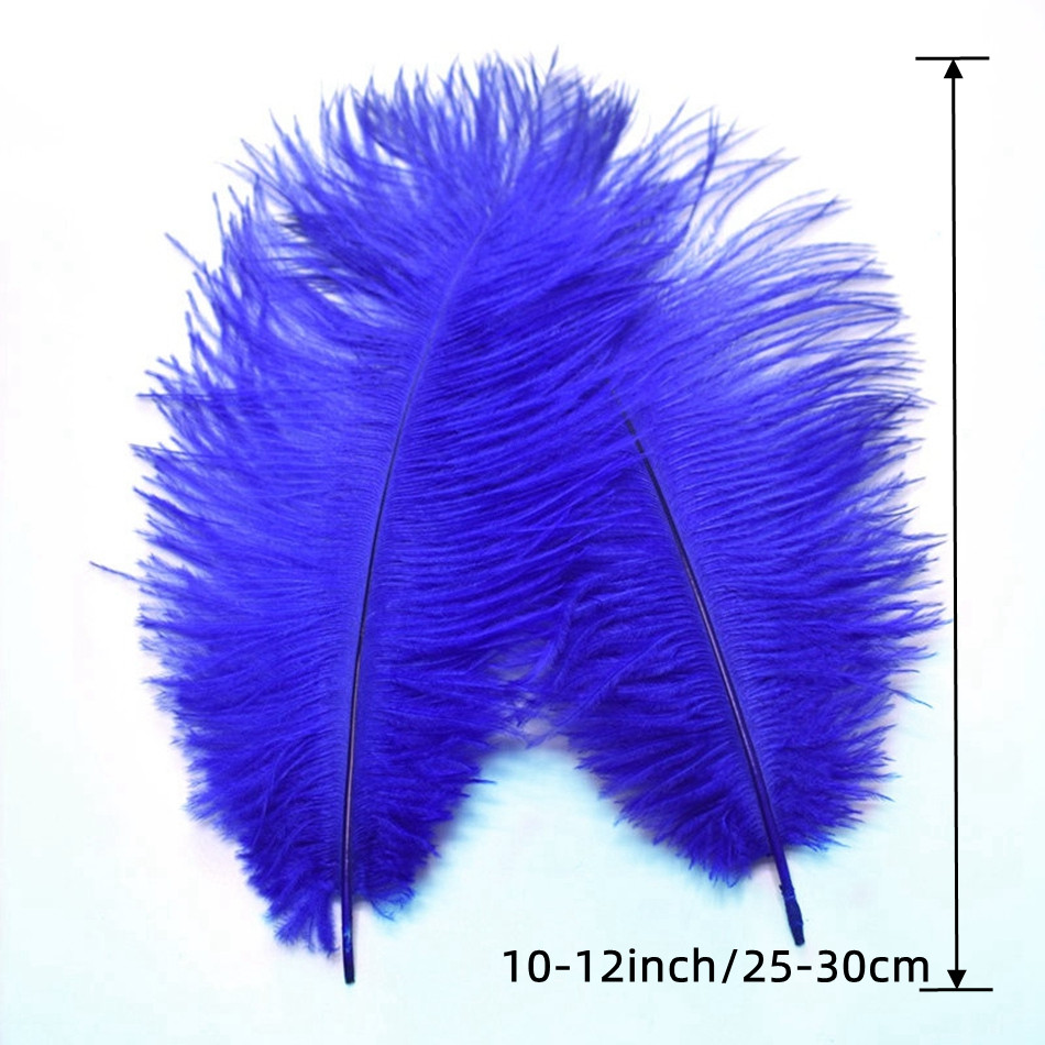  Zamihalaa 10Pcs/lot Natural Dyed Peacock Feathers for Crafts  25-30cm/10-12 Peacock Feather Home Decoration Accessories Plumas : Arts,  Crafts & Sewing