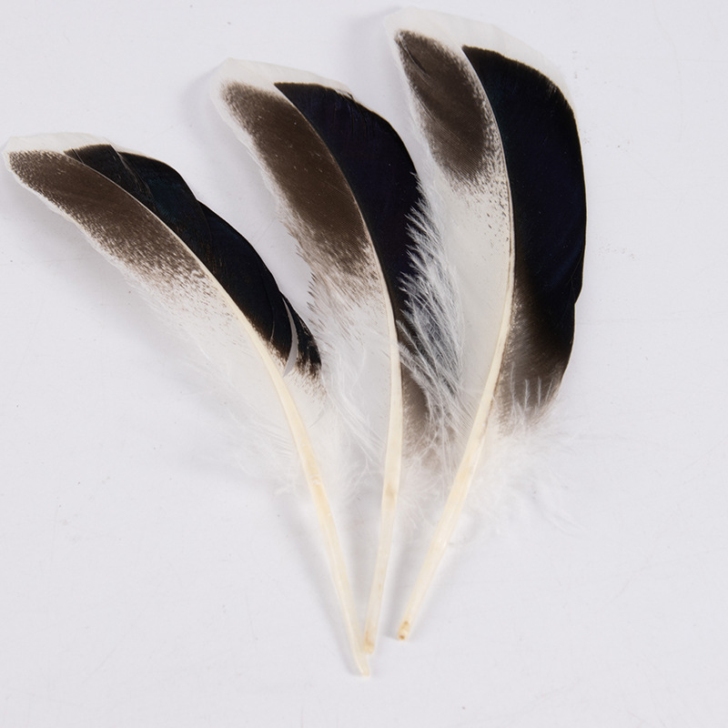 Natural Duck Feathers Bulk For Crafts Handmade Clothing - Temu