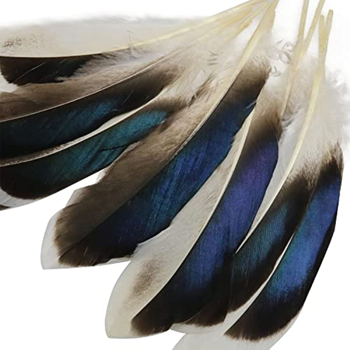 Duck Feathers Natural Feathers For Diy Craft Art Clothing - Temu