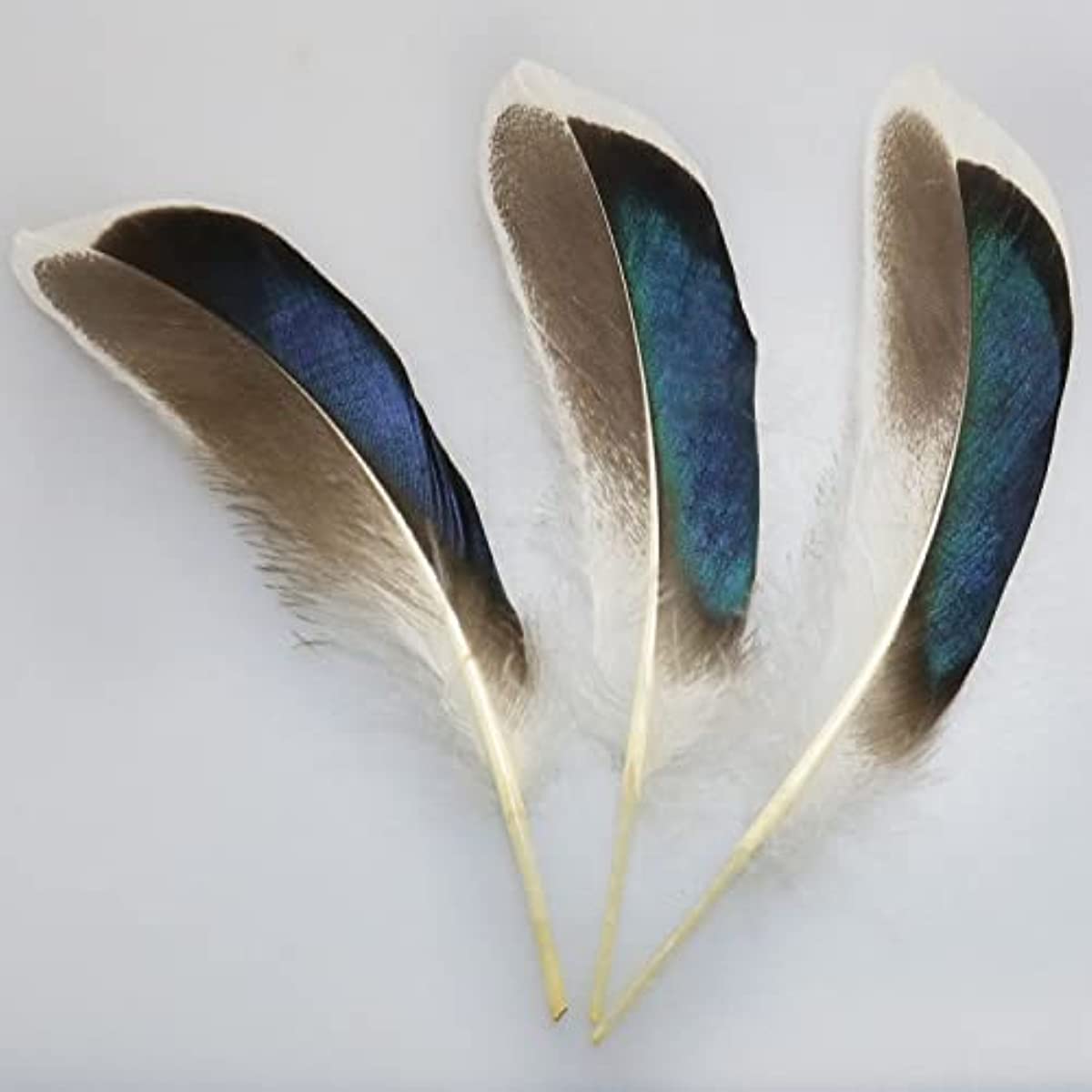 Duck Feathers Bulk For Crafts Carnival Handwork Clothing - Temu