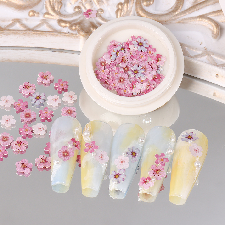 12-Style Dried Flower Nail Art Decoration Natural Floral Daisy Manicure  Decals